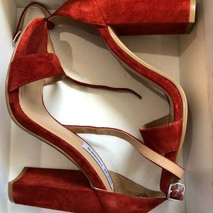 Steve Madden Carrson Rust Suede! Brand new!!